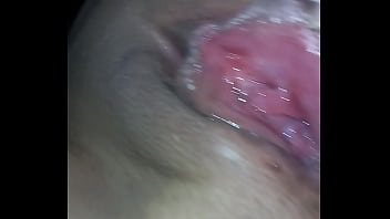 Vk Bú Cu Mừng Năm Mới